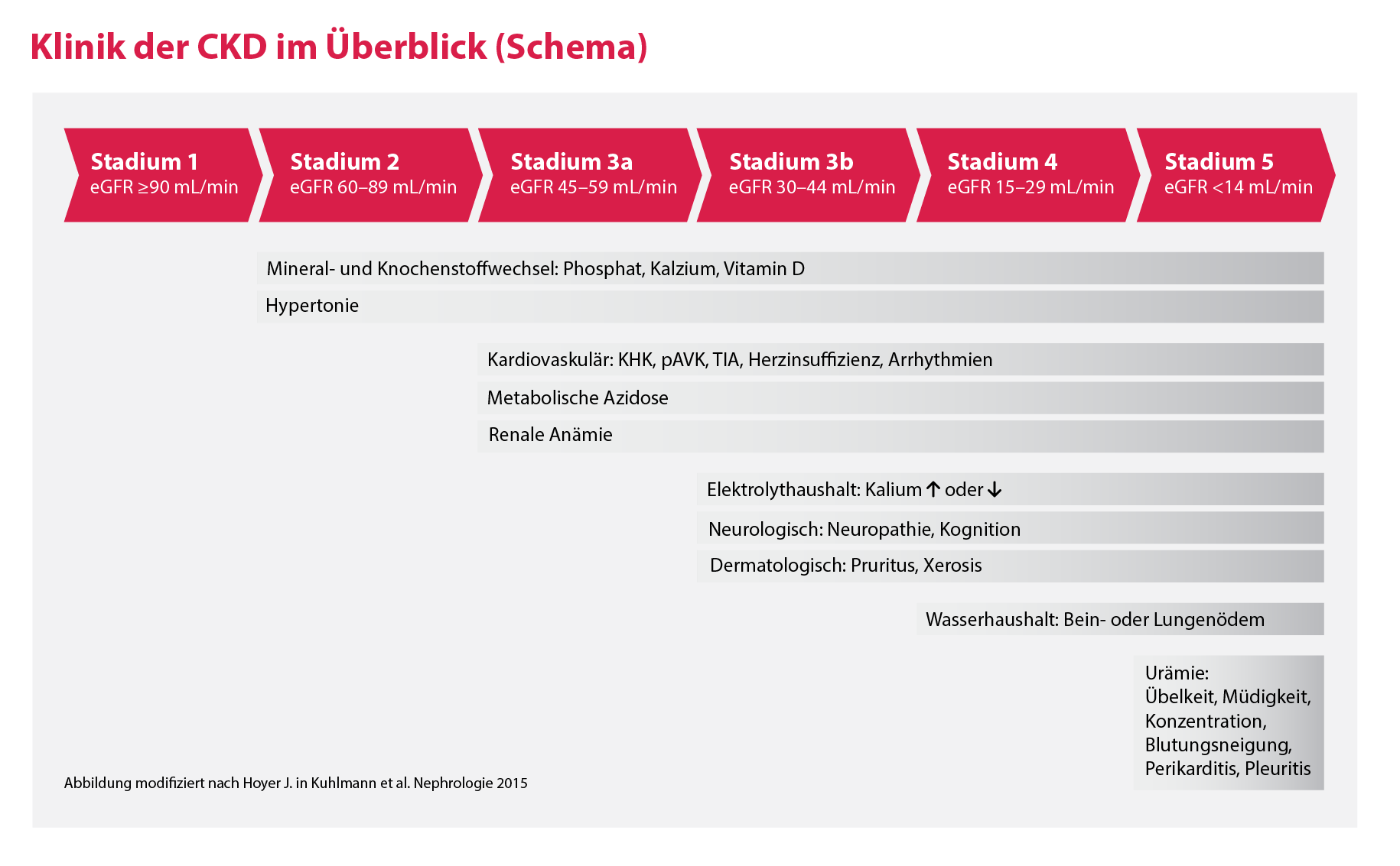 Klinik der CKD